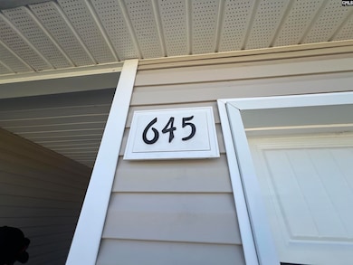 645 Wild Tulip Ct, Gilbert, SC 29054 - photo 6