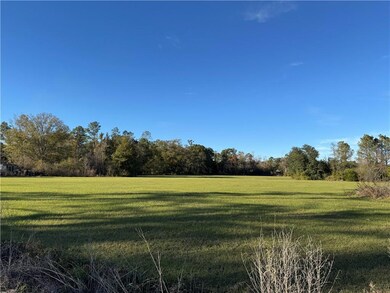 TBD 1-E Barnum Rd, Springfield, LA 70462 - photo 5