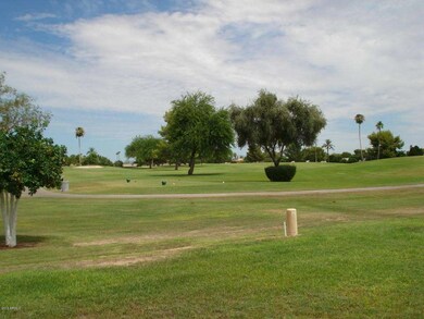 10010 W Highwood Ln unit 42, Sun City, AZ 85373 - photo 6