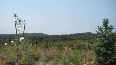 IMG_3362