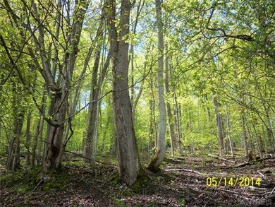 Land/Lot