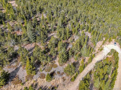 111 Hilltop Rd, Idaho Springs, CO 80452 - photo 5