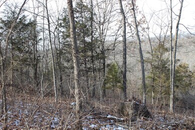 Hiking anyone