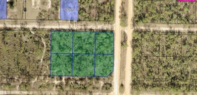 0 Caravana Blvd unit MFRO6117459, Fountain, FL 32438 - photo 3