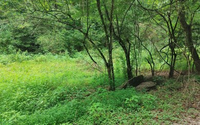 Additional View
