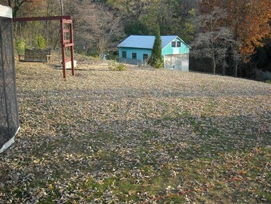 huge backyard