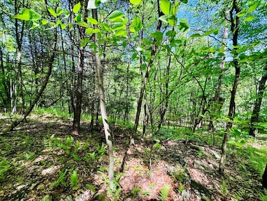 LOT 10 Paradise Rd, Todd Township, PA 16657 - photo 2