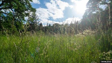 0 Baker Creek (Parcel #473776) Rd unit 766110, McMinnville, OR 97128 - photo 7