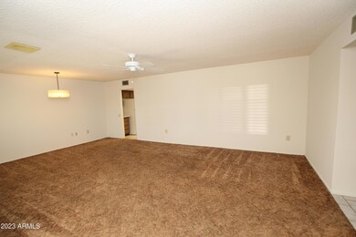 9734 W Cottonwood Dr, Sun City, AZ 85373 - photo 4