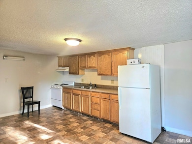 1110 E 10th St, Muscatine, IA 52761 - photo 2