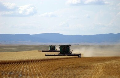 1961 Mccartney Rd, Grass Range, MT 59032 - photo 6