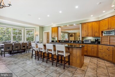 18781 Foggy Bottom Rd, Bluemont, VA 20135 - photo 6