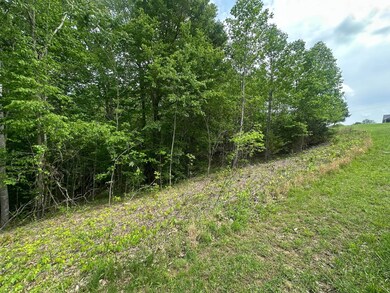 0 Davidson Rd, Burkesville, KY 42717 - photo 5