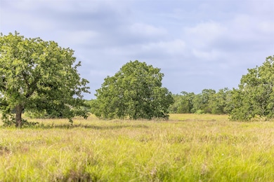 View of woods