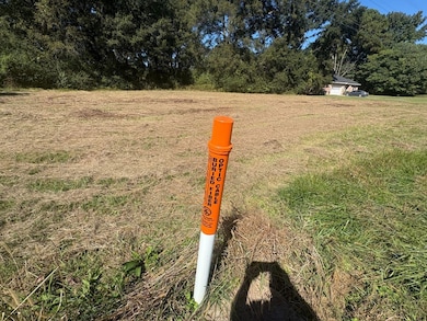 Sanderson Ln, Courtland, AL 35618 - photo 4