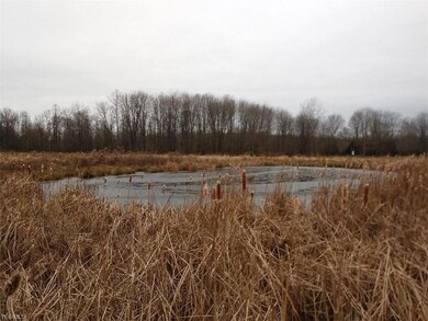 1812 Netcher Rd, Jefferson, OH 44047 - photo 6