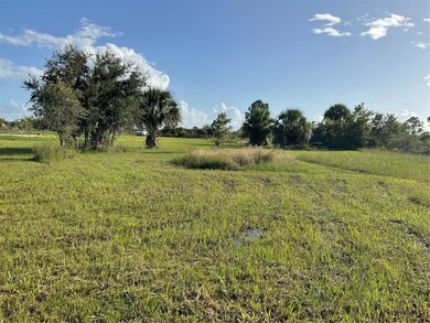 17229 NW 314th, Okeechobee, FL 34972 - photo 7