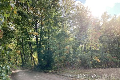 6336 Farmbrook Rd, Belding, MI 48809 - photo 7