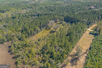 Lot 76 La Sole Ln, Waverly, GA 31565 - photo 7