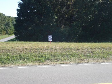 Lot 1 Cherokee Dr, Rutledge, TN 37861 - photo 2