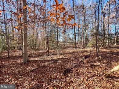 20.76 Bull Neck Rd, Supply, VA 22436 - photo 7