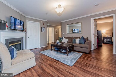 9060 Gracious End Ct unit 103, Columbia, MD 21046 - photo 4