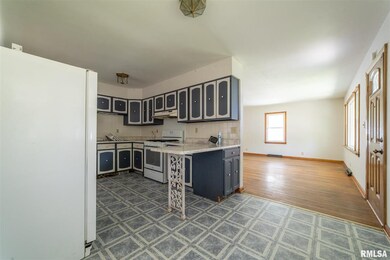 925 Clinton St, Lincoln, IL 62656 - photo 5