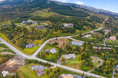 Aerials MS_93315-SMALL