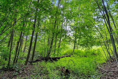 TBD Old Mill Ct, Fancy Gap, VA 24053 - photo 6