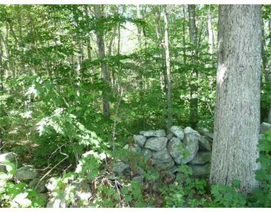 Land/Lot.