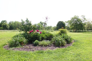 IMG_8521 - Copy