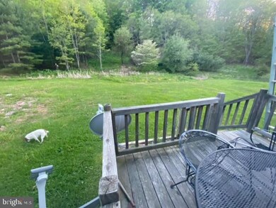 1006 Simmons Mountain Rd, Sugar Grove, WV 26815 - photo 6