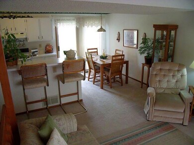 Kitchen / Dining Area