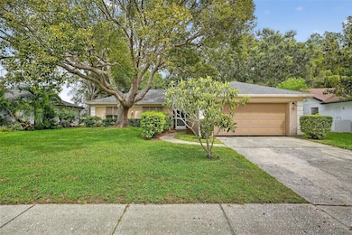 3602 Player Dr, New Port Richey, FL 34655 - photo 5