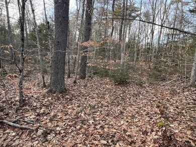 89 East Rd, Orange, MA 01364 - photo 5