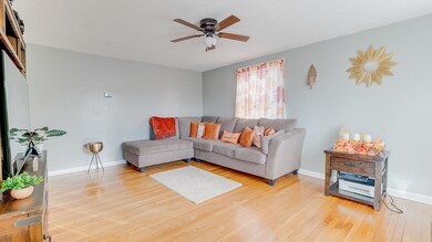 137 Feltham Rd, Springfield, MA 01118 - photo 4