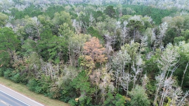 11948 Highway 190, Bon Wier, TX 75928 - photo 2