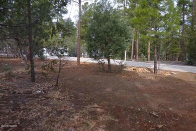 Level Lot