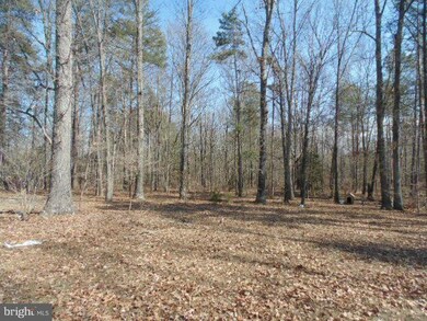 23529 School House Rd, Ruther Glen, VA 22546 - photo 6