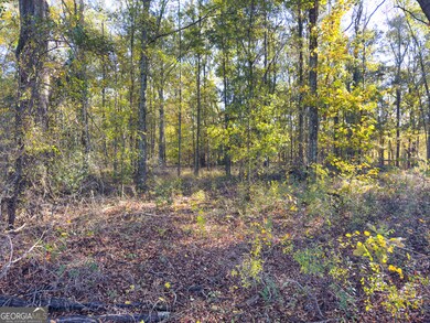 1 Georgia 17, Wadley, GA 30477 - photo 7