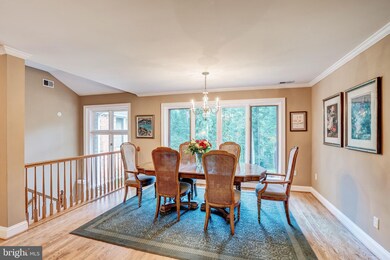 8643 Overlook Rd, McLean, VA 22102 - photo 6