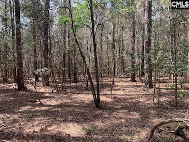 0 Eleazer (Parcel C) Rd unit 621895, Irmo, SC 29063 - photo 2