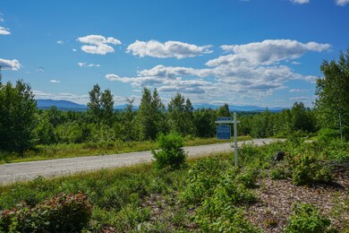 DSC00411-2