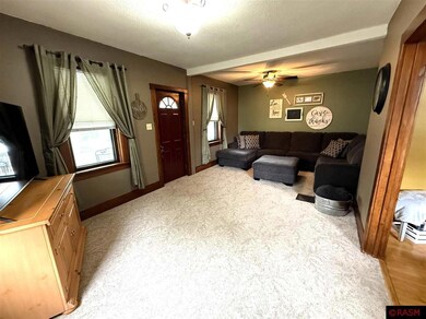 222 N Payne St, New Ulm, MN 56073 - photo 4