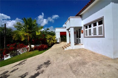 San Lorenzo Bo Quemados, San Lorenzo, PR 00754 - photo 5