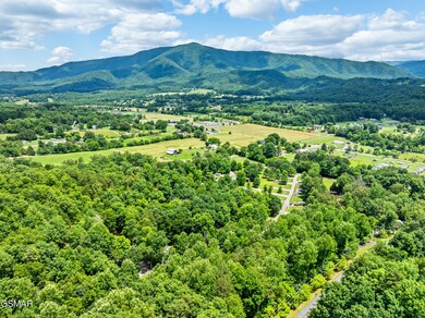 3123 Happy Hollow Rd, Sevierville, TN 37862 - photo 4