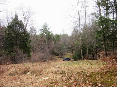 805 Wellington Hill Rd E, Putney, VT 05346 - photo 7