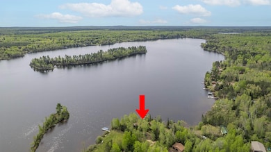 Drone / aerial view of a heavily wooded area and a large body of water