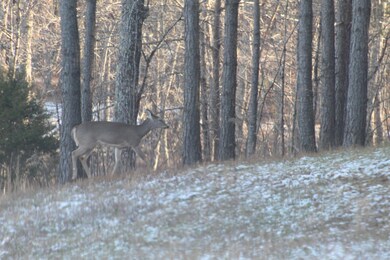 110 Compass Dr, Jasper, TN 37347 - photo 7