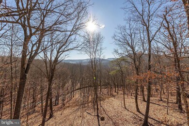 439 Mount Top Rd, Mathias, WV 26812 - photo 4